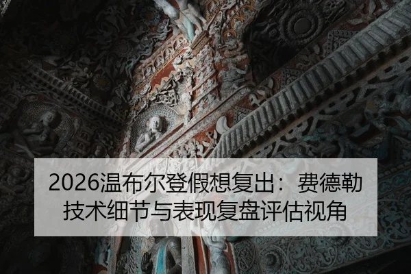 wen-bu-er-deng-jia-xiang-fu-chu-fei-de-lei-ji-shu-xi-jie-yu-biao-xian-fu-pan-ping-gu-shi-jiao-1-210.jpg
