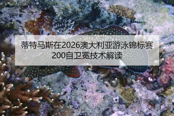 蒂特马斯在2026澳大利亚游泳锦标赛200自卫冕技术解读